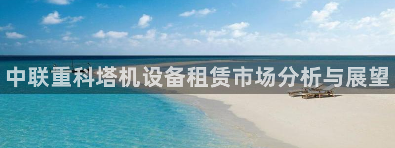 顺盈娱乐招商下原判官333OO：中联重科塔机设备租赁市场分析