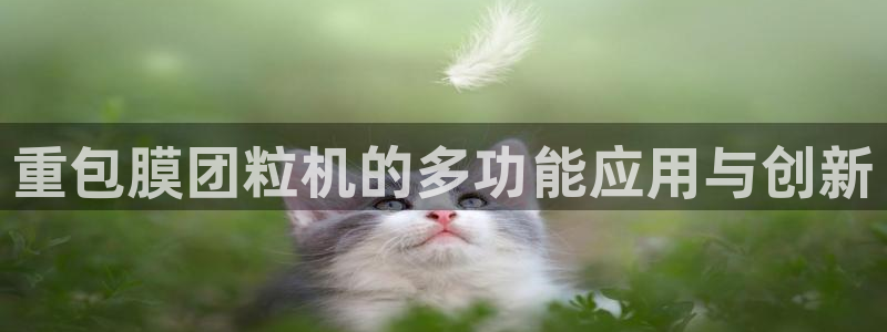 顺盈广场团购娱乐怎么样：重包膜团粒机的多功能应用与创新