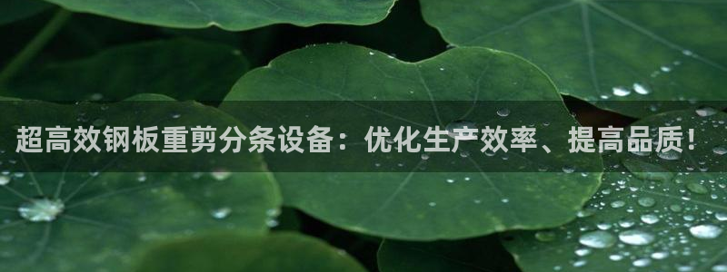 顺盈娱乐姜333OO：超高效钢板重剪分条设备：优化生产效率、