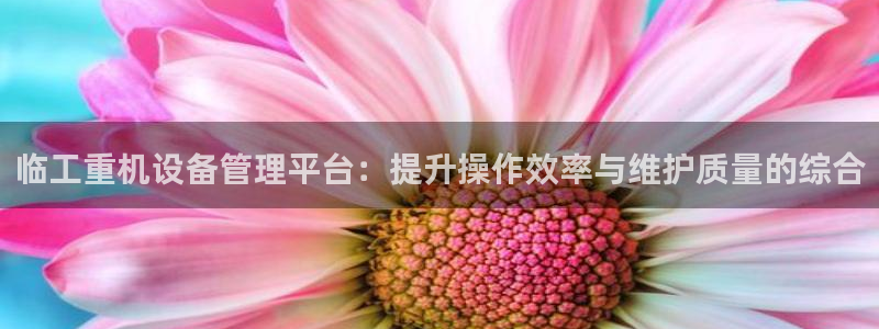 顺盈娱乐28是什么意思：临工重机设备管理平台：提升操作效率与