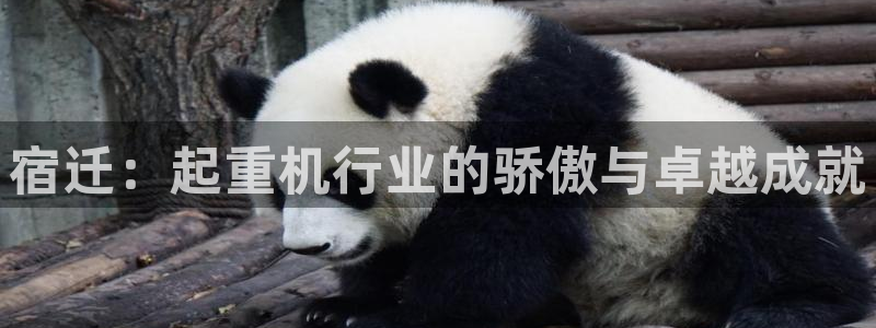 盈顺休闲娱乐室门票价格：宿迁：起重机行业的骄傲与卓越成就