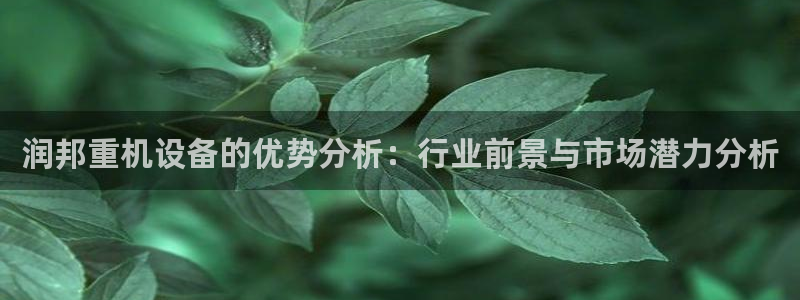 清远顺盈广场娱乐：润邦重机设备的优势分析：行业前景与市场潜力