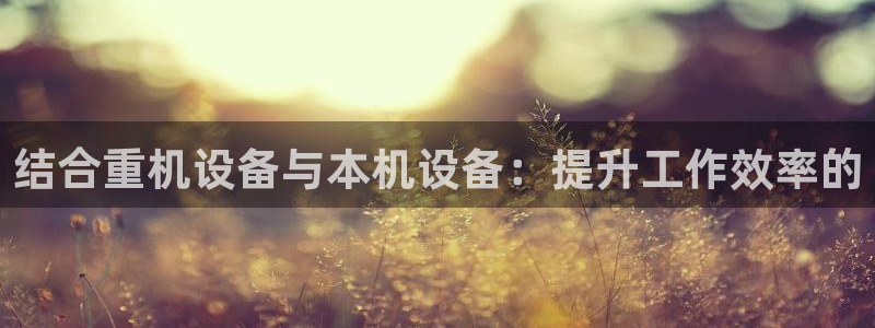 顺盈2娱乐主管啊判官333OO：结合重机设备与本机设备：提升
