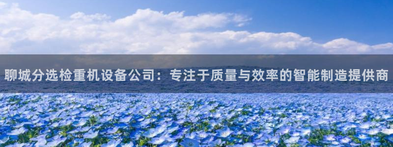 顺盈2娱乐游戏开发商：聊城分选检重机设备公司：专注于质量与效