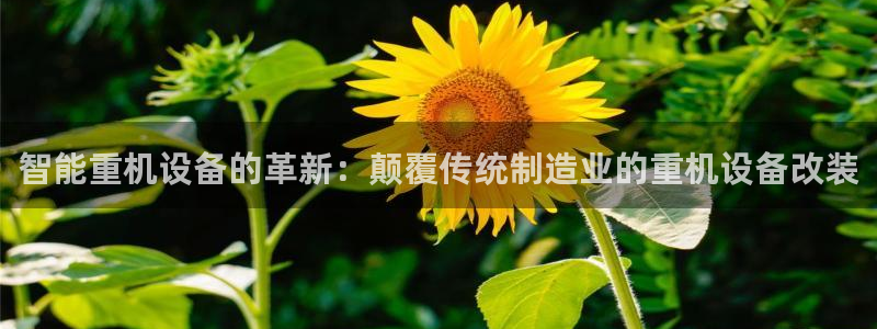 顺盈娱乐
