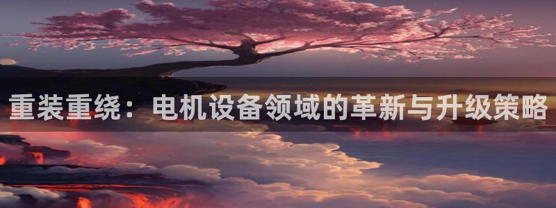 顺盈抖音团购娱乐：重装重绕：电机设备领域的革新与升级策略