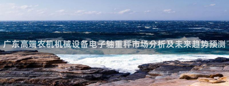 顺盈娱乐主管吉判官333OO：广东高端农机机械设备电子轴重秤