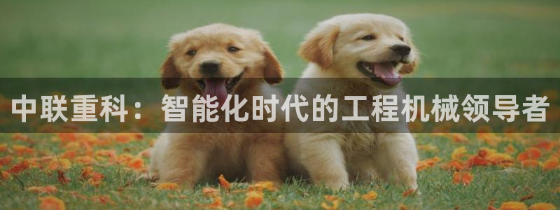顺盈娱乐官网首页