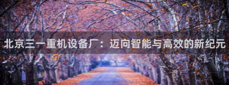 清远顺盈娱乐集团