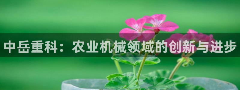 盈顺棋牌娱乐室电话