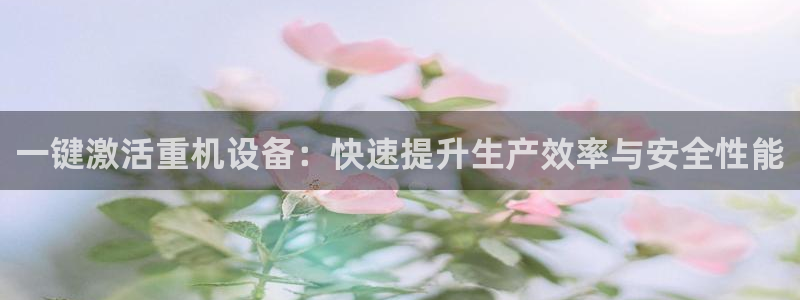 顺盈2娱乐主管：一键激活重机设备：快速提升生产效率与安全性能