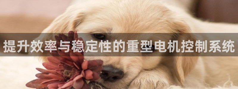顺盈娱乐注册更究333OO：提升效率与稳定性的重型电机控制系