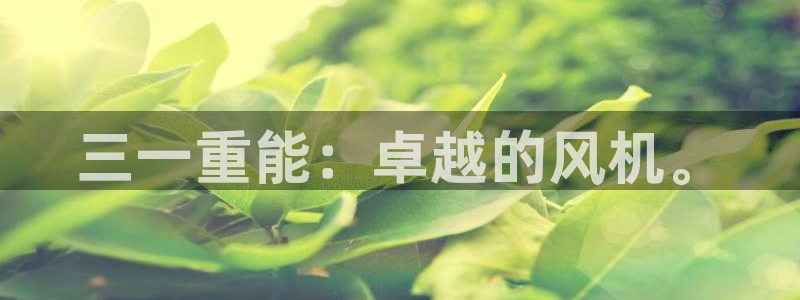顺盈娱乐注册口究333OO：三一重能：卓越的风机。