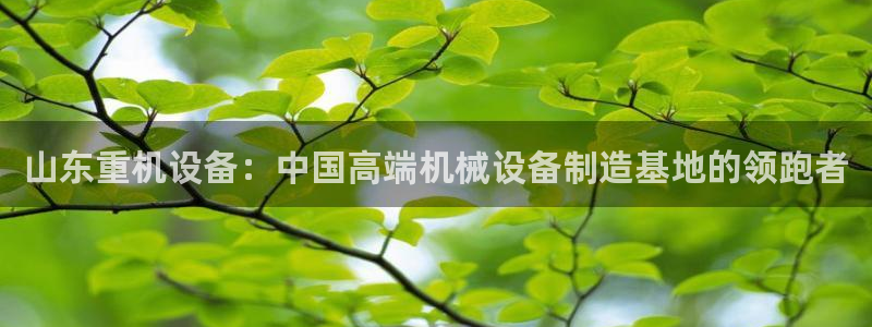 顺盈娱乐招商钱判官333OO