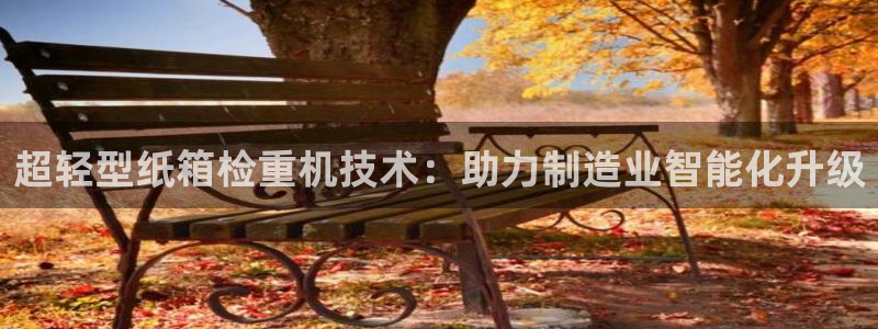 顺盈娱乐平台：超轻型纸箱检重机技术：助力制造业智能化升级
