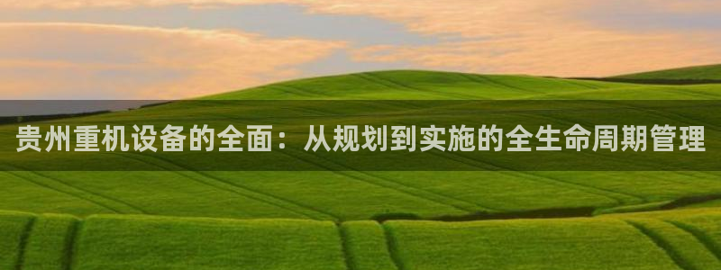 顺盈娱乐平台注册：贵州重机设备的全面：从规划到实施的全生命周