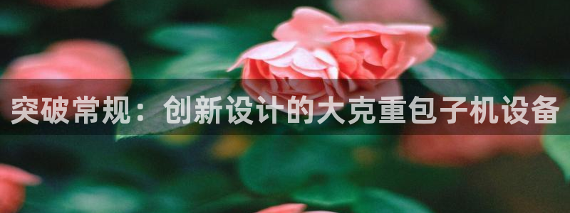 应县盈顺休闲娱乐室地址：突破常规：创新设计的大克重包子机设备