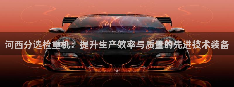 顺盈娱乐登录地址在哪儿：河西分选检重机：提升生产效率与质量的