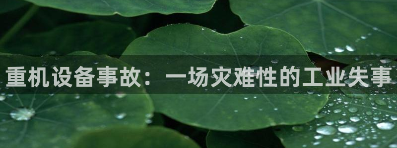 顺盈娱乐彩票怎么样：重机设备事故：一场灾难性的工业失事