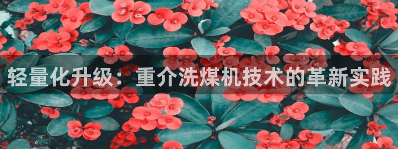 盈顺休闲娱乐室团购价格：轻量化升级：重介洗煤机技术的革新实践