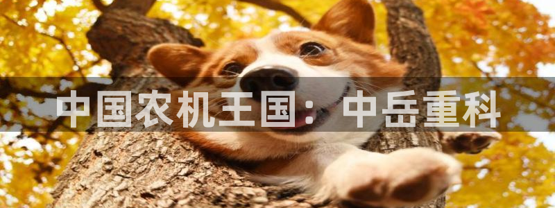 顺盈娱乐登录地址：中国农机王国：中岳重科