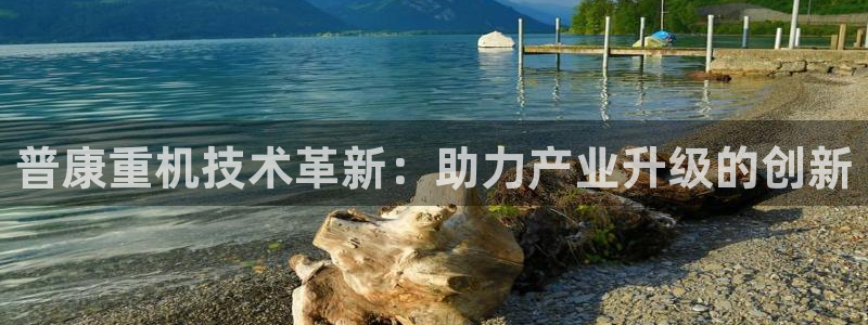 盈顺休闲娱乐室团购券：普康重机技术革新：助力产业升级的创新
