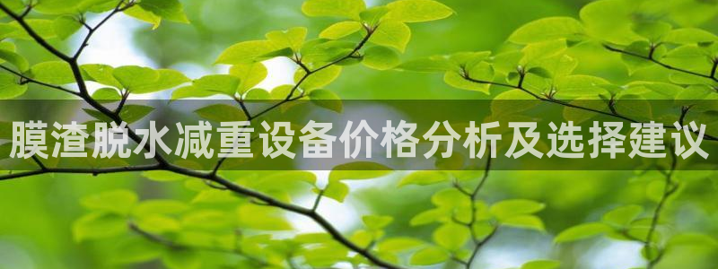 顺盈娱乐官网首页：膜渣脱水减重设备价格分析及选择建议