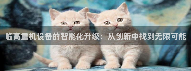 顺盈娱乐最高代理是谁呀：临高重机设备的智能化升级：从创新中找