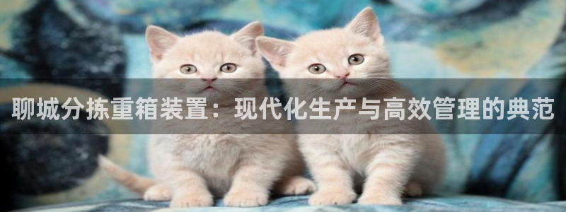 顺盈娱乐在线注册：聊城分拣重箱装置：现代化生产与高效管理的典