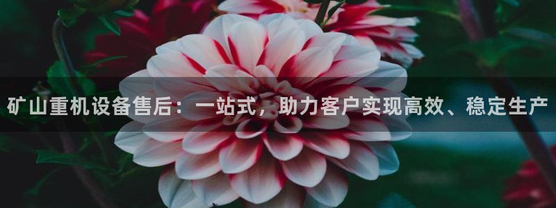 顺盈娱乐市究7276O