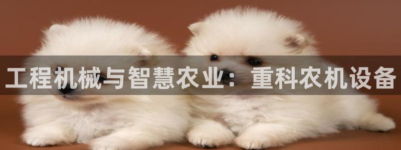 盈顺棋牌娱乐室怎么样