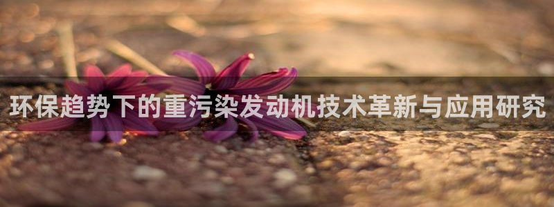 顺盈娱乐彩票怎么样啊