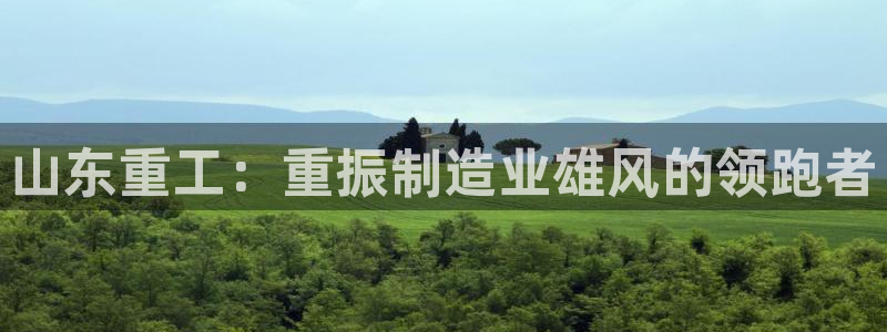 顺盈娱乐平台登录：山东重工：重振制造业雄风的领跑者
