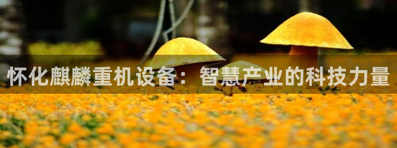 清远顺盈广场娱乐公司