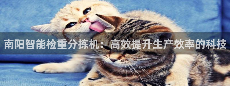 顺盈娱乐招商低判官333OO