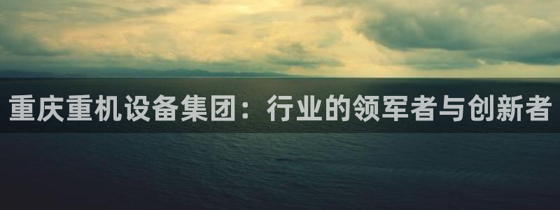 顺盈娱乐官网登录：重庆重机设备集团：行业的领军者与创新者