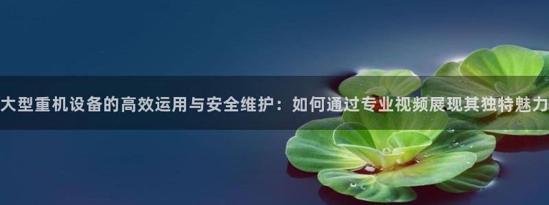 清远顺盈娱乐集团面试：大型重机设备的高效运用与安全维护：如何