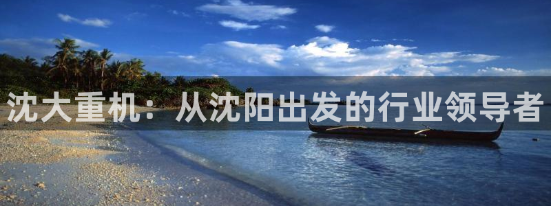 顺盈娱乐彩票官网：沈大重机：从沈阳出发的行业领导者