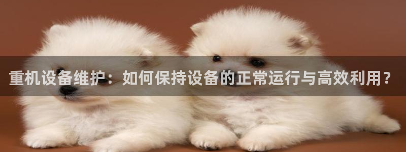 盈顺棋牌娱乐室地址