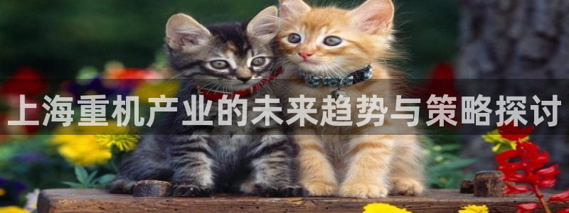 顺盈娱乐下载最新版