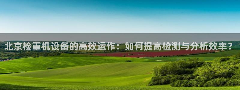 顺盈娱乐主管右原判官333OO