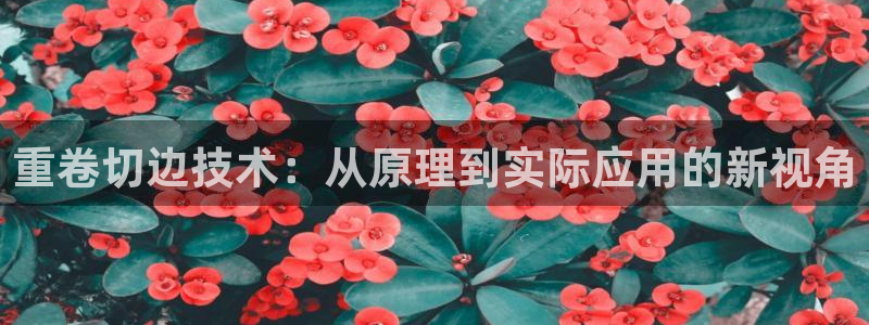 清远顺盈娱乐公司实习：重卷切边技术：从原理到实际应用的新视角