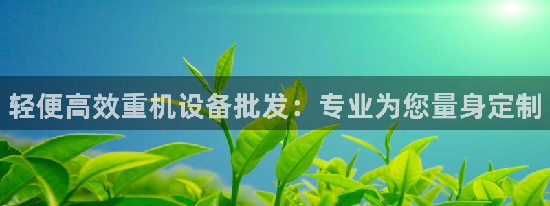 顺盈娱乐彩票官网下载