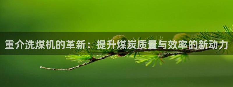 顺盈平台娱乐怎么样：重介洗煤机的革新：提升煤炭质量与效率的新