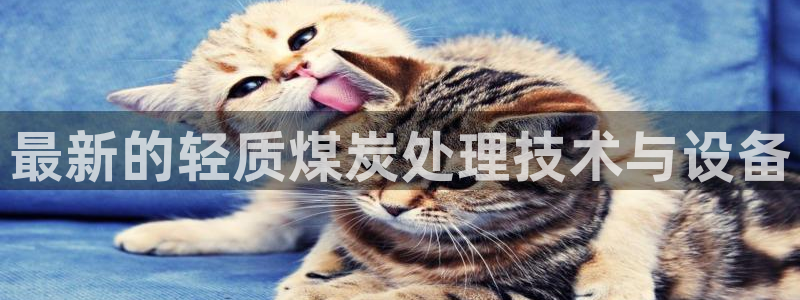 顺盈娱乐最高代理：最新的轻质煤炭处理技术与设备