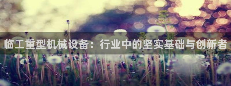 顺盈娱乐招商助判官333OO