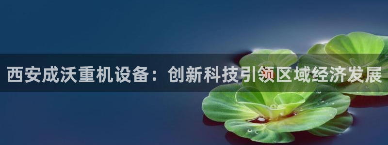 顺盈娱乐登录地址是什么