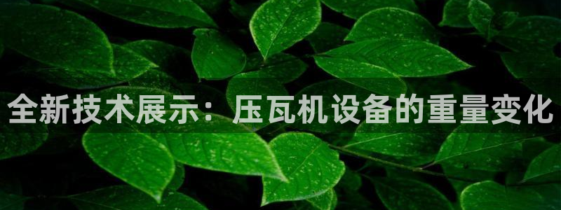 顺盈娱乐最高代理人名单