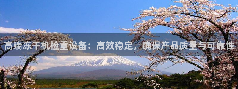 顺盈娱乐在线开户流程图