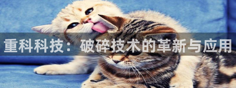 顺盈娱乐是天系列平台